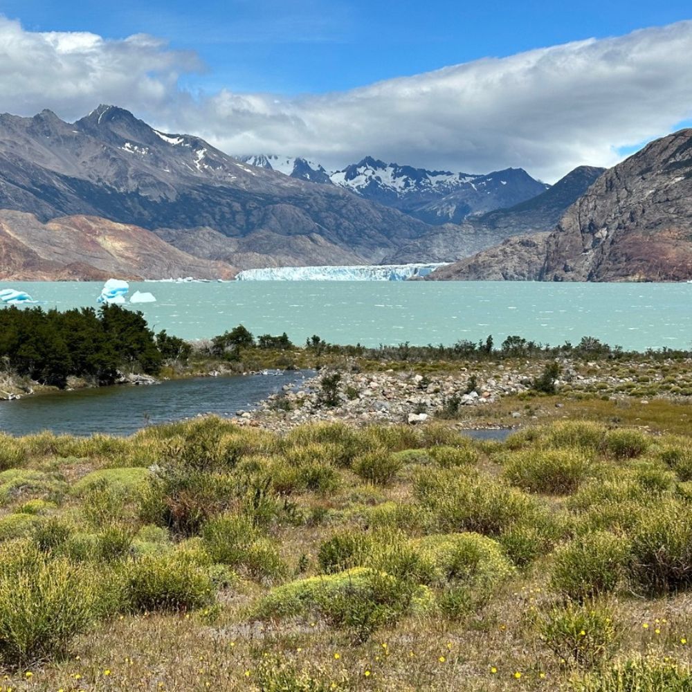 Patagonia, where BIVI started